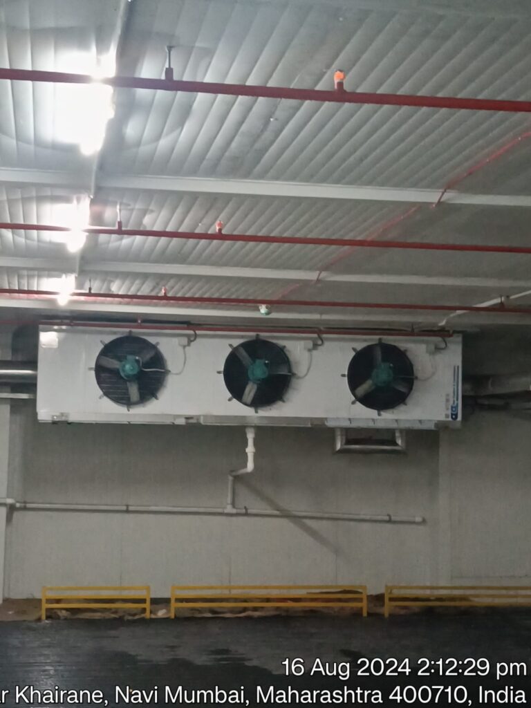 WhatsApp Image 2025-06-04 at 7.42.28 PM