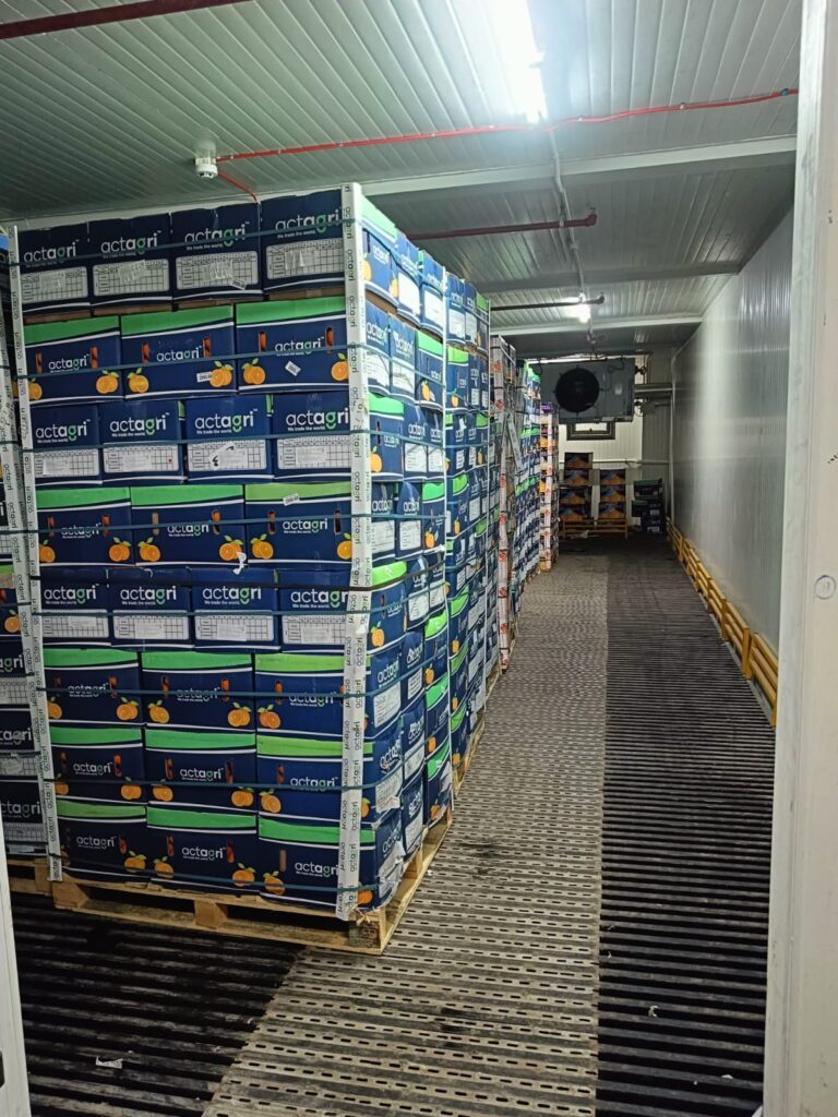 WhatsApp Image 2025-06-04 at 7.42.40 PM