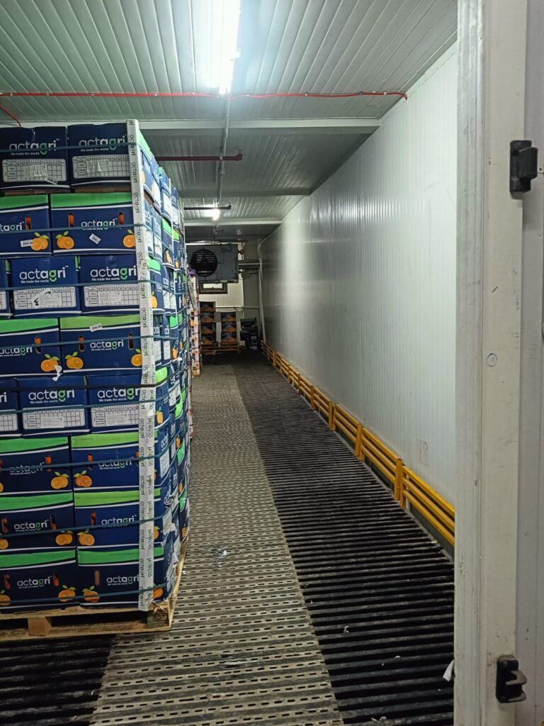 WhatsApp Image 2025-06-04 at 7.42.41 PM