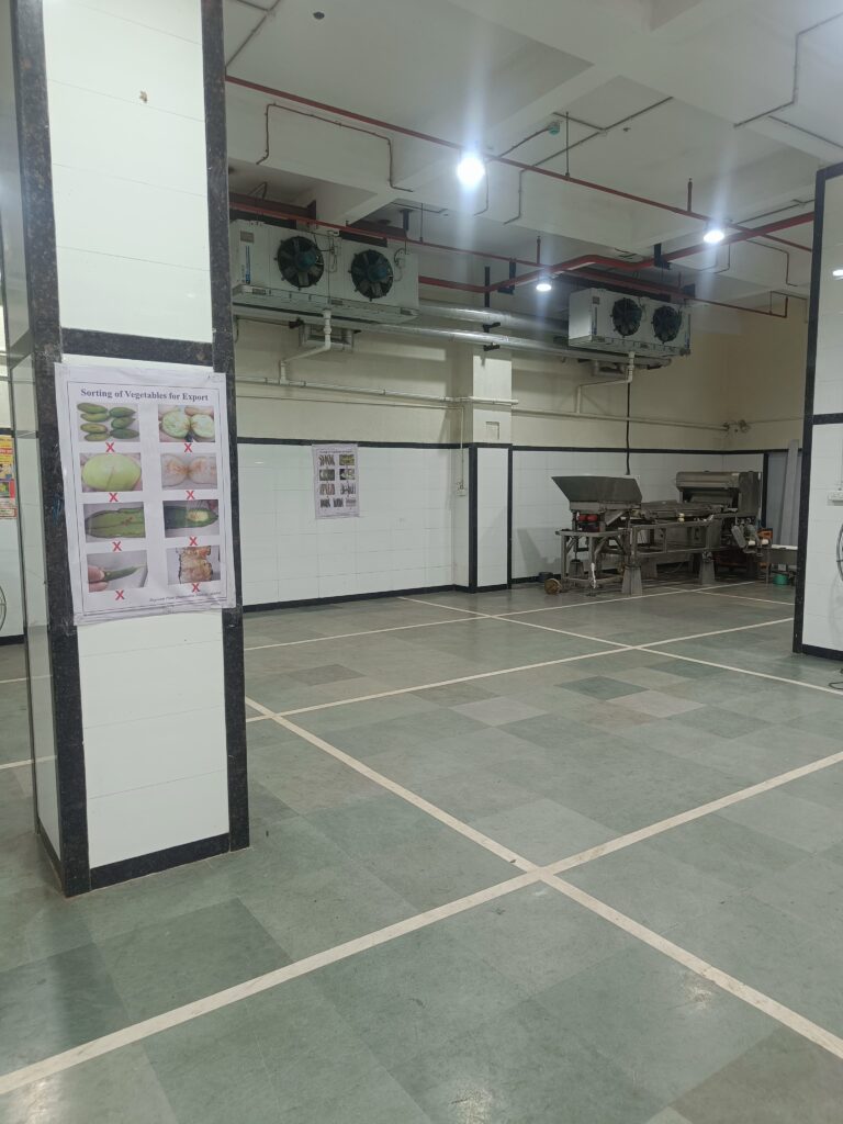 WhatsApp Image 2025-06-20 at 5.52.35 PM